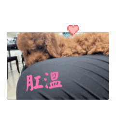 可愛小瓶瓶3