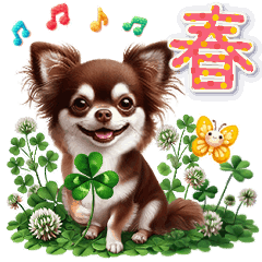 Chihuahua's Spring Sticker