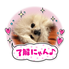 angel_20250219165359