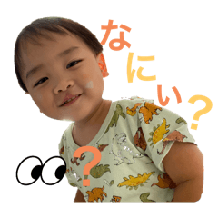 n_20250219170221