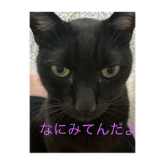 mochi555555