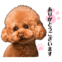 haru_20250219165729