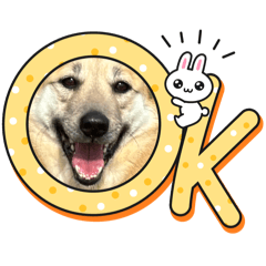 hachiyamasan