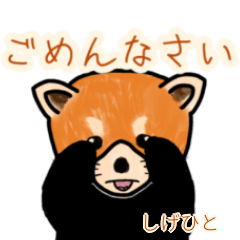 Shigehito's lesser panda