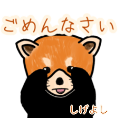 Shigeyoshi's lesser panda