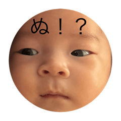 minorin_20250219184733