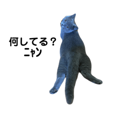 lu_20250219185859