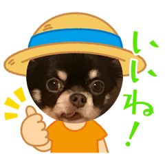 cherry_20250219203050