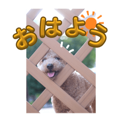 aya_20250219202719