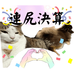 Shun_20250219142321