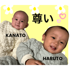 Yuka_20250219085544