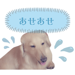 arisa_20250219222736