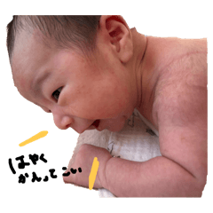 yuka_20250219223118