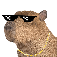 Cool Capybara!