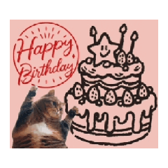 [Moving] Cat and Birthday 3