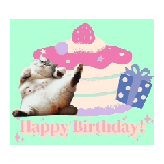 [Moving] Cat and Birthday 2