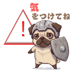 A word about Pug