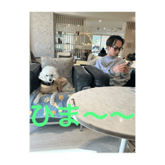 ton_20250219201507