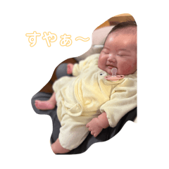 no_20250219232736