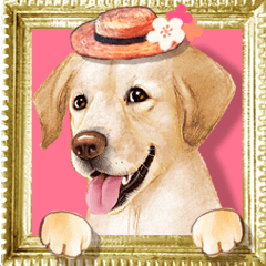 [Labrador] Pop-up! Celebration