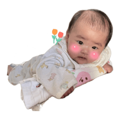 haru_20250220012924