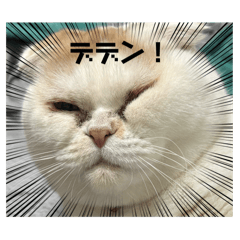 Daifuku_20250220122847