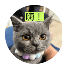 囡囡奇異貼圖