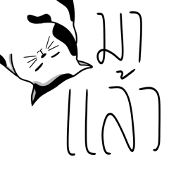 แมวลายวัว บ้านแมวอ้วน