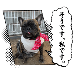 miki_20250220104349