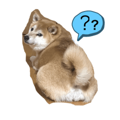 mugicha 2
