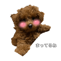 maronchan_20250220120635