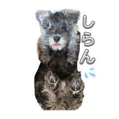 Yuri_20250220134335