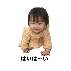 no_20250220142824