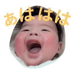 maple_20250220143515