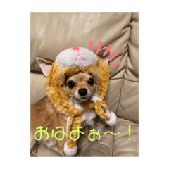 MEI_20250220150923