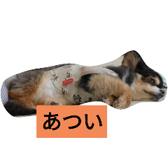 payakiti_20250220153230