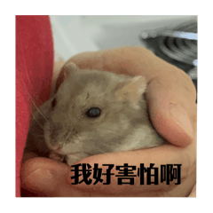 Haruko_20250219185554