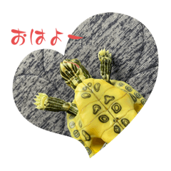 ryu_20250220162020