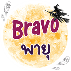 PAYU Bravo One word