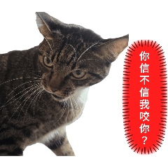飯糰就是很可愛