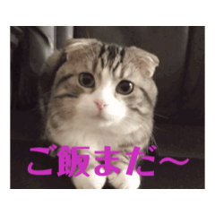 RIKA_20250220200237