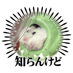 Mimi_20250220194853