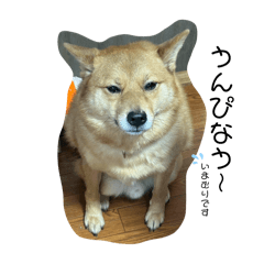 Ohagi_20250220193813