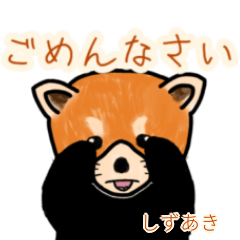 Shizuaki's lesser panda