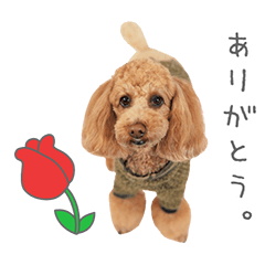 StampNo:4795