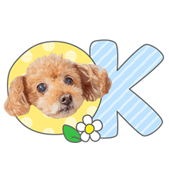 StampNo:4794