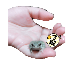 aina_20250220190301
