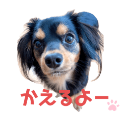 kj_20250220205744444