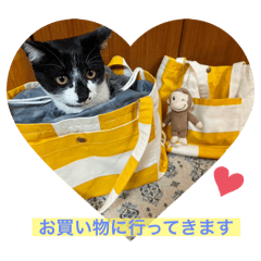 chan_20250220215032