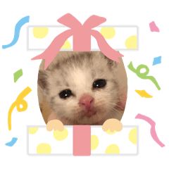yasu_20250220223343